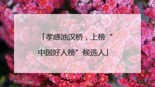 孝感池汉桥，上榜“中国好人榜”候选人