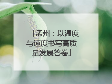 孟州：以温度与速度书写高质量发展答卷