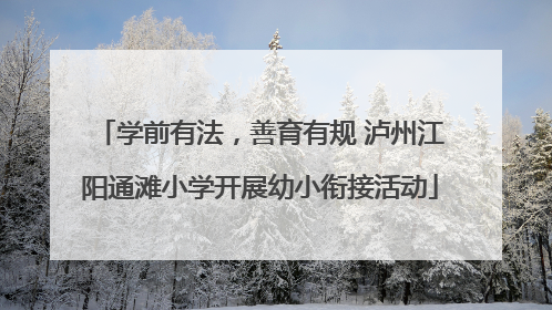 学前有法，善育有规 泸州江阳通滩小学开展幼小衔接活动