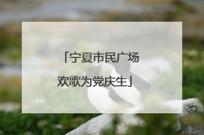 宁夏市民广场欢歌为党庆生