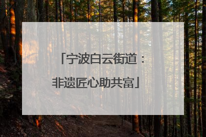 宁波白云街道：非遗匠心助共富