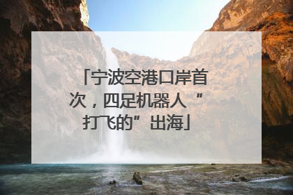 宁波空港口岸首次，四足机器人“打飞的”出海