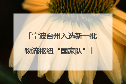 宁波台州入选新一批物流枢纽“国家队”