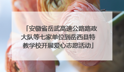 安徽省岳武高速公路路政大队等七家单位到岳西县特教学校开展爱心志愿活动