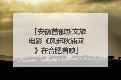 安徽首部新文旅电影《风起秋浦河》在合肥首映