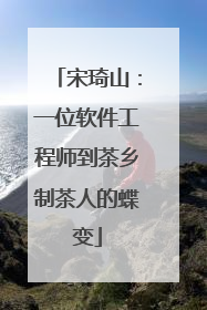宋琦山：一位软件工程师到茶乡制茶人的蝶变