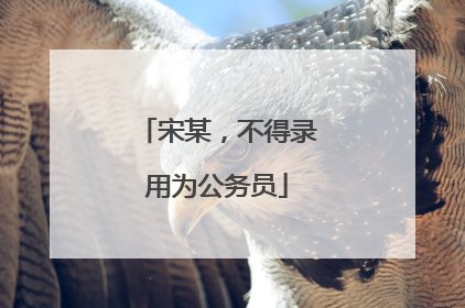宋某，不得录用为公务员