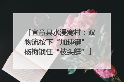 宜章县水浸窝村：双物流按下“加速键” 杨梅锁住“枝头鲜”