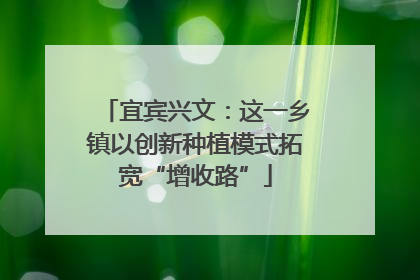 宜宾兴文：这一乡镇以创新种植模式拓宽“增收路”