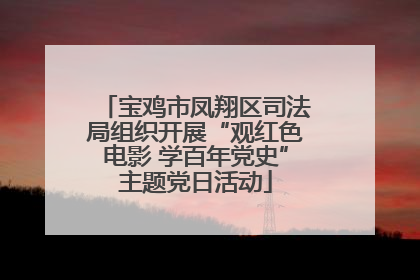 宝鸡市凤翔区司法局组织开展“观红色电影 学百年党史”主题党日活动
