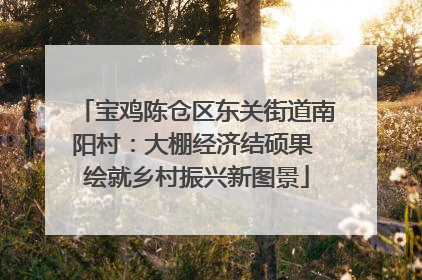 宝鸡陈仓区东关街道南阳村：大棚经济结硕果 绘就乡村振兴新图景
