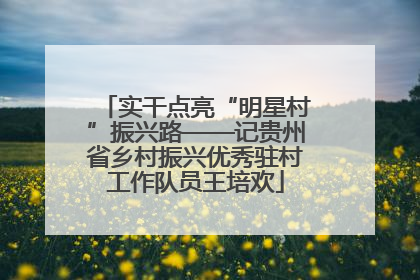 实干点亮“明星村”振兴路——记贵州省乡村振兴优秀驻村工作队员王培欢