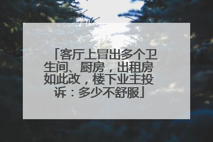 客厅上冒出多个卫生间、厨房，出租房如此改，楼下业主投诉：多少不舒服