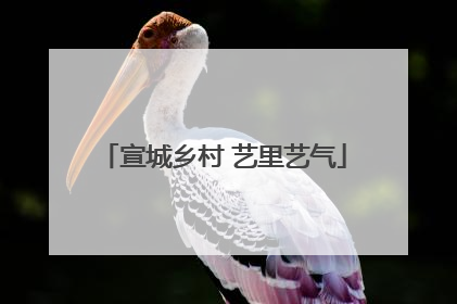 宣城乡村 艺里艺气