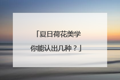 夏日荷花美学 你能认出几种？