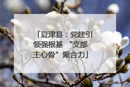 夏津县：党建引领强根基 “支部主心骨”聚合力