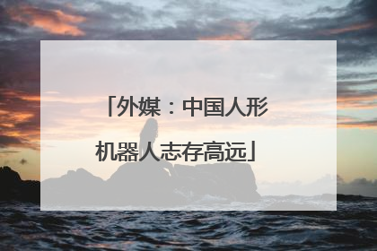 外媒：中国人形机器人志存高远