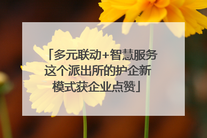 多元联动+智慧服务 这个派出所的护企新模式获企业点赞