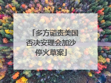 多方谴责美国否决安理会加沙停火草案