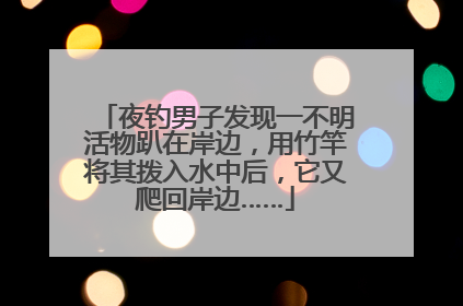 夜钓男子发现一不明活物趴在岸边，用竹竿将其拨入水中后，它又爬回岸边……