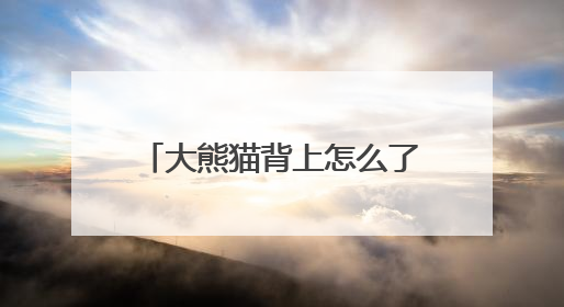 大熊猫背上怎么了？熊猫中心发文→