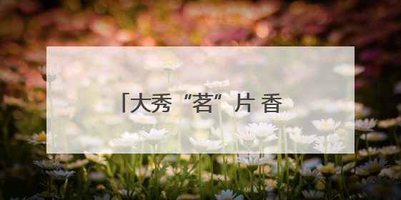 大秀“茗”片 香飘京华——2025年“一展两会”展现泉州茶独特魅力