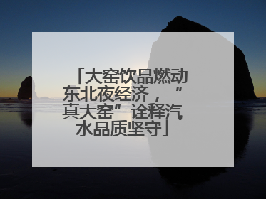 大窑饮品燃动东北夜经济，“真大窑”诠释汽水品质坚守