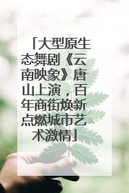 大型原生态舞剧《云南映象》唐山上演，百年商街焕新点燃城市艺术激情