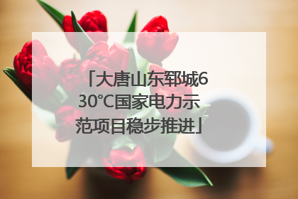 大唐山东郓城630℃国家电力示范项目稳步推进