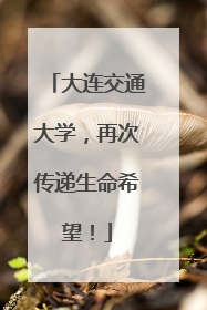 大连交通大学，再次传递生命希望！