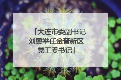 大连市委副书记刘恩举任金普新区党工委书记