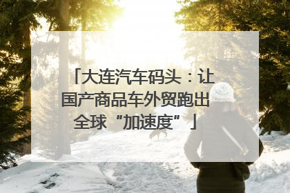 大连汽车码头：让国产商品车外贸跑出全球“加速度”