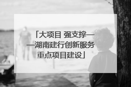 大项目 强支撑——湖南建行创新服务重点项目建设