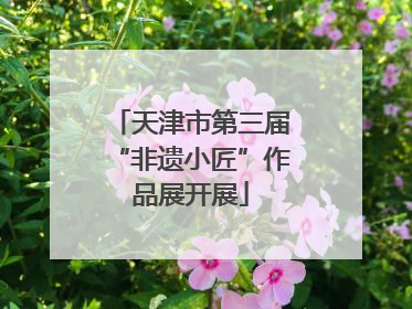 天津市第三届“非遗小匠”作品展开展