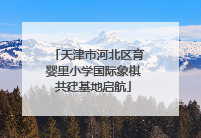 天津市河北区育婴里小学国际象棋共建基地启航