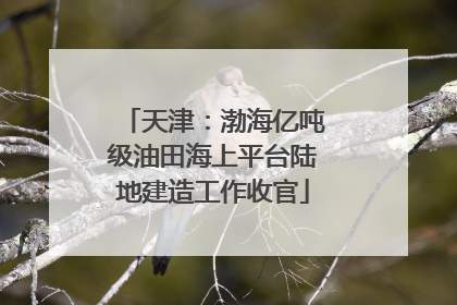 天津：渤海亿吨级油田海上平台陆地建造工作收官