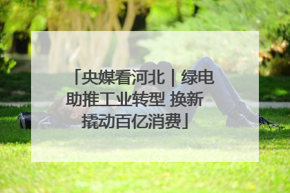 央媒看河北｜绿电助推工业转型 换新撬动百亿消费