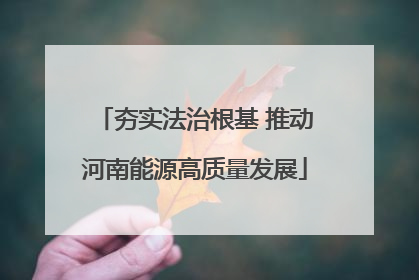 夯实法治根基 推动河南能源高质量发展