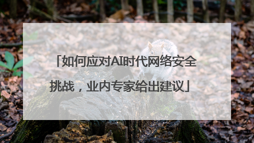 如何应对AI时代网络安全挑战，业内专家给出建议