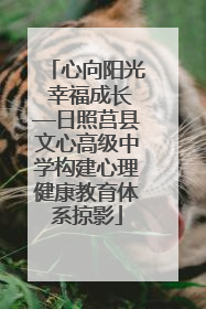 心向阳光 幸福成长—日照莒县文心高级中学构建心理健康教育体系掠影
