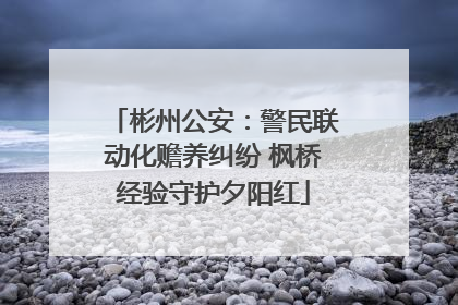 彬州公安：警民联动化赡养纠纷 枫桥经验守护夕阳红