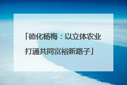 德化杨梅：以立体农业打通共同富裕新路子