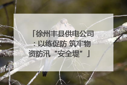 徐州丰县供电公司：以练促防 筑牢物资防汛“安全堤”