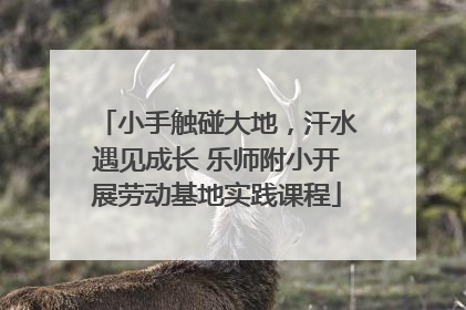 小手触碰大地，汗水遇见成长 乐师附小开展劳动基地实践课程