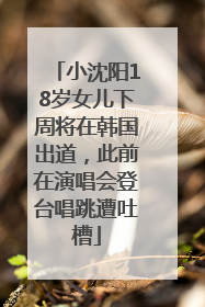 小沈阳18岁女儿下周将在韩国出道，此前在演唱会登台唱跳遭吐槽
