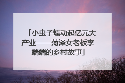 小虫子蠕动起亿元大产业——菏泽女老板李端端的乡村故事