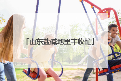 山东盐碱地里丰收忙