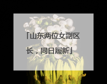 山东两位女副区长，同日履新