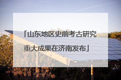 山东地区史前考古研究重大成果在济南发布