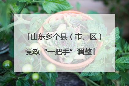山东多个县（市、区）党政“一把手”调整